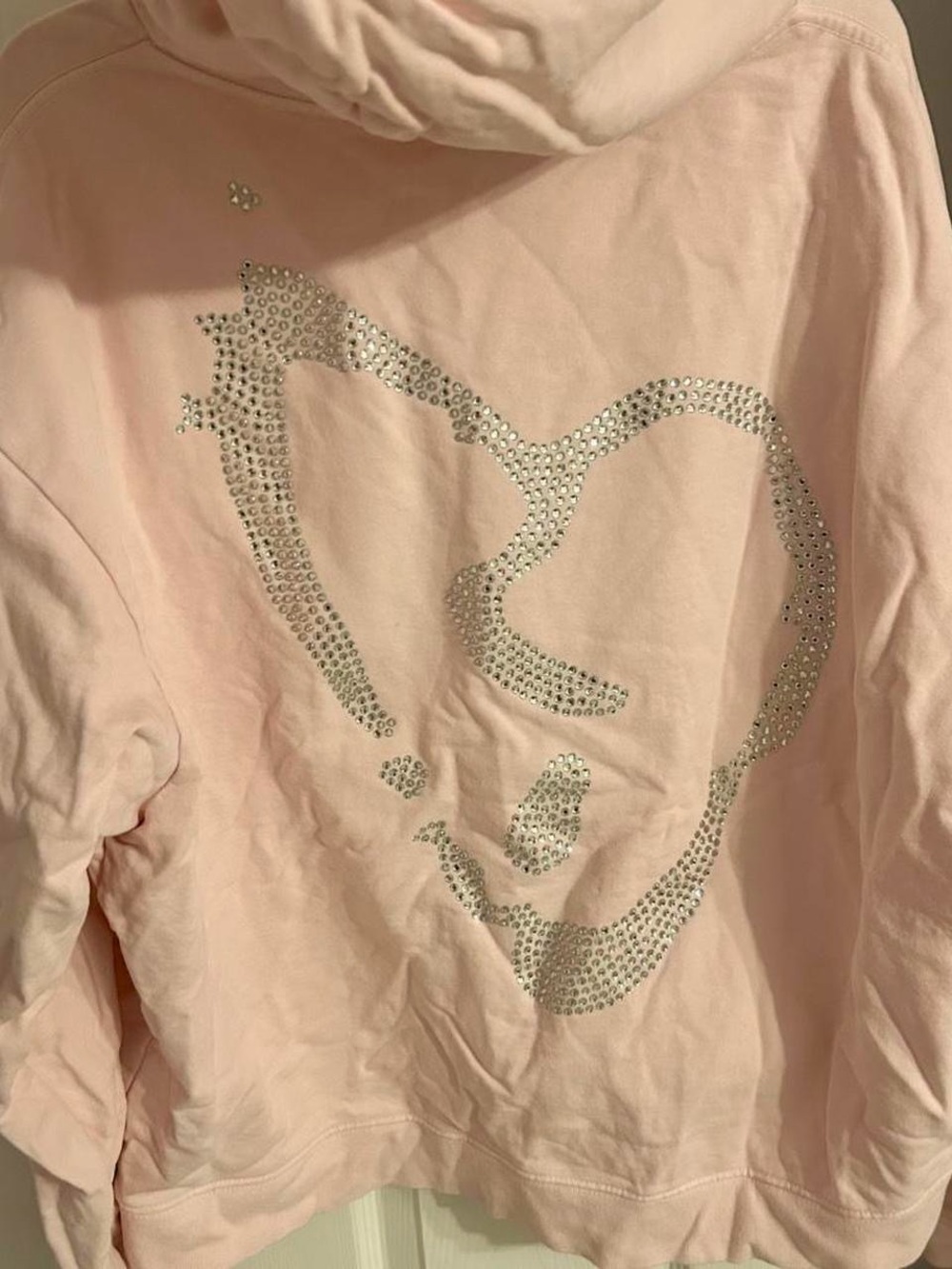 Pink Hoodie with Rhinestone Script - Picture 5 of 7
